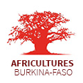 Africultures Burkina-Faso